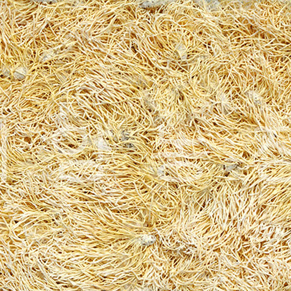 산골누에농장 동충하초 100g