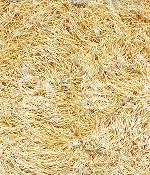 산골누에농장 동충하초 100g